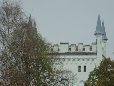 Kont Vorontsov Sarayı, genel görüş