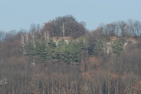 Rocky Dağları 'nın genel manzarası