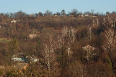 Karpat Dağlarının yumuşak yamaçları