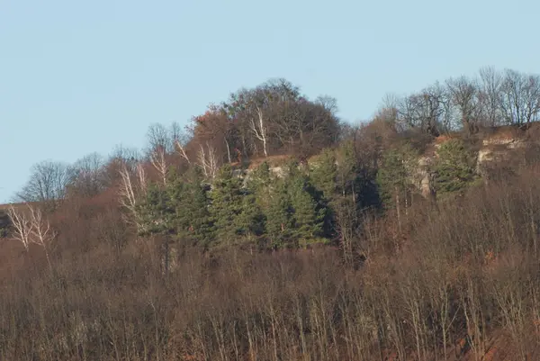 Vista Generale Delle Montagne Rocciose — Foto Stock