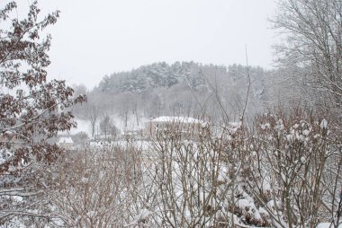 Karpat Dağlarının yumuşak yamaçları