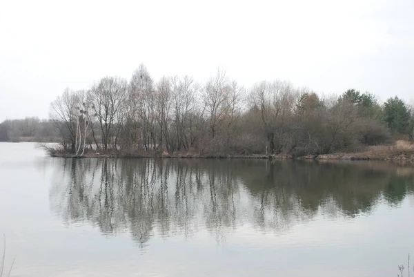 村庄边缘的池塘 — 图库照片