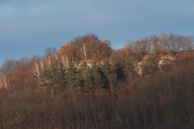 Rocky Dağları 'nın genel manzarası