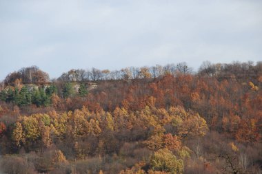 Rocky Dağları 'nın genel manzarası