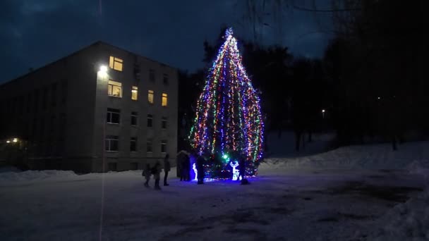 Рождественская Елка Кременецкой Тернопольской Области — стоковое видео