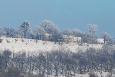 Karpat Dağlarının yumuşak yamaçları