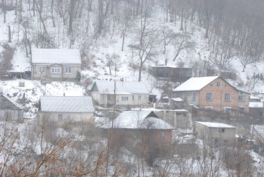 Karpat Dağlarının yumuşak yamaçları