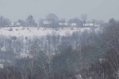Karpat Dağlarının yumuşak yamaçları