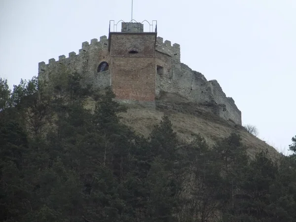 Vista Geral Colina Castelo — Fotografia de Stock