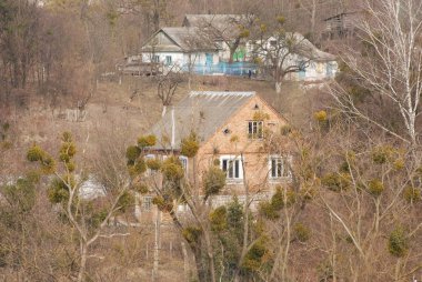 Karpat Dağlarının yumuşak yamaçları