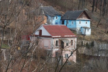 Karpat Dağlarının yumuşak yamaçları