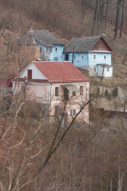 Karpat Dağlarının yumuşak yamaçları