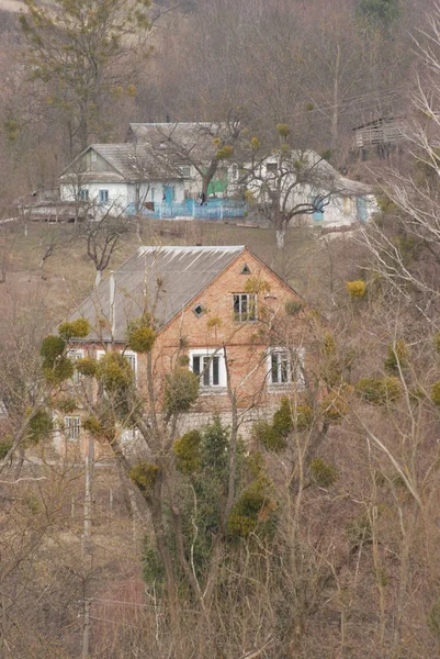 Karpat Dağlarının yumuşak yamaçları