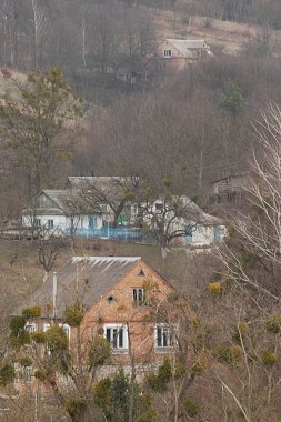 Karpat Dağlarının yumuşak yamaçları