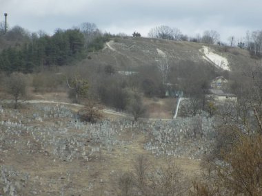 Karpat Dağlarının yumuşak yamaçları