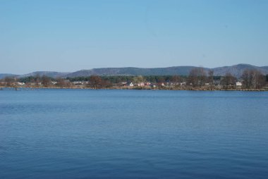 Havuzun içinde ağlayan willows (Lat. Salix babylonica)