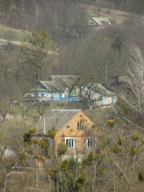 Karpat Dağlarının yumuşak yamaçları