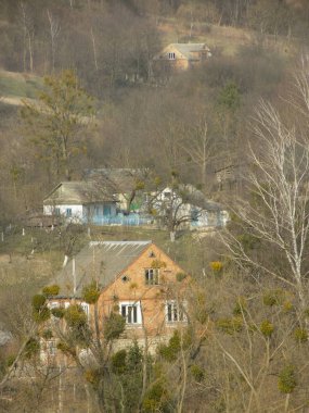 Karpat Dağlarının yumuşak yamaçları