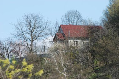 Karpat Dağlarının yumuşak yamaçları