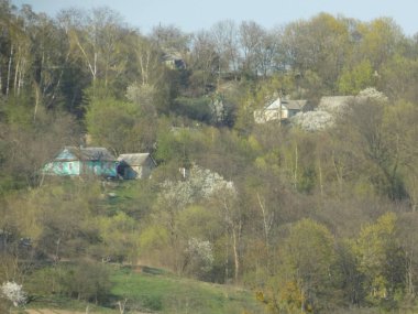 Karpat Dağlarının yumuşak yamaçları