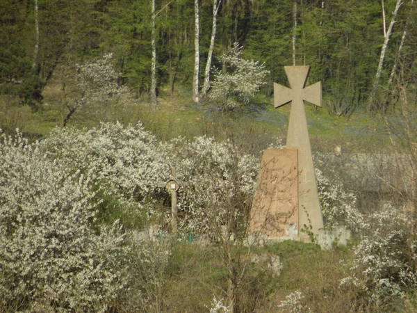 Memorial Sign Cmentarz Kozaków Kremenecie — Zdjęcie stockowe