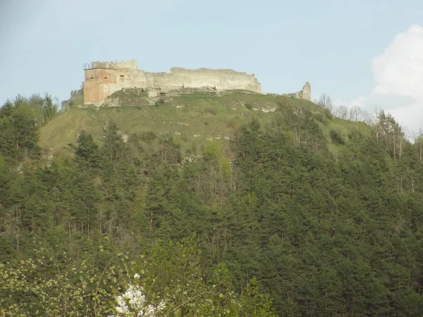 Загальний Вигляд Замковій Горі — стокове фото