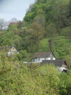 Karpat Dağlarının yumuşak yamaçları