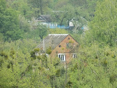 Karpat Dağlarının yumuşak yamaçları