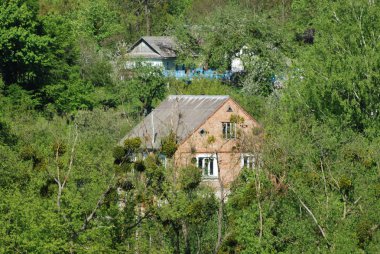 Karpat Dağlarının yumuşak yamaçları