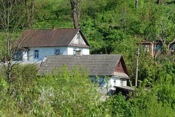 Karpat Dağlarının Yumuşak Yamaçları — Stok fotoğraf