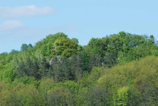 Rocky Dağları 'nın genel manzarası