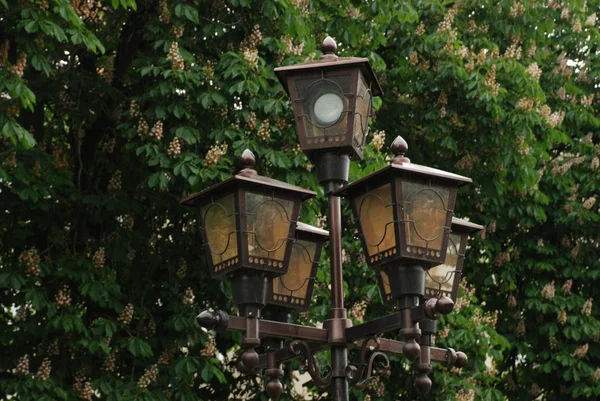 Street Electric Lighting Lantern — Stock Photo, Image