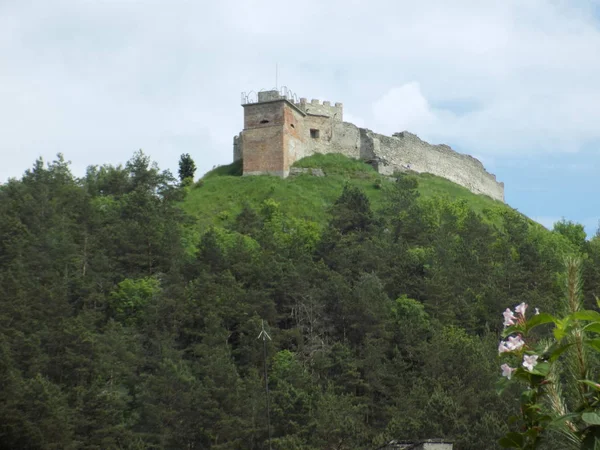 Vue Générale Colline Château — Photo