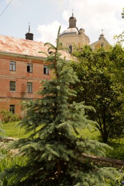 Mimari tarihi rezerv, genel görüş