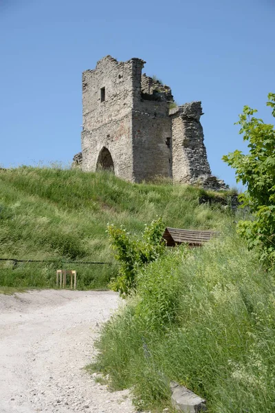 Tour Entrée Vieux Château — Photo