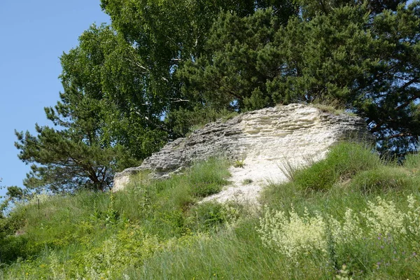 Vue Générale Des Montagnes Rocheuses — Photo