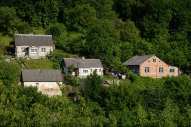 Karpat Dağlarının yumuşak yamaçları