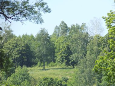 Sessiz köşe güzel doğa