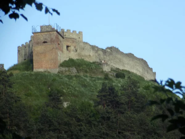 Vista Geral Colina Castelo — Fotografia de Stock