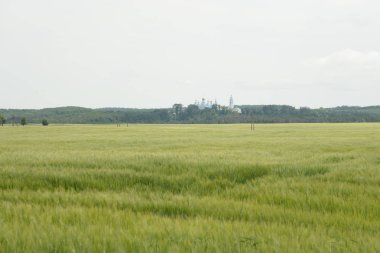 Tüm Azizler Kilisesi Pochayiv Kutsal Manastırı Dukhovskoi