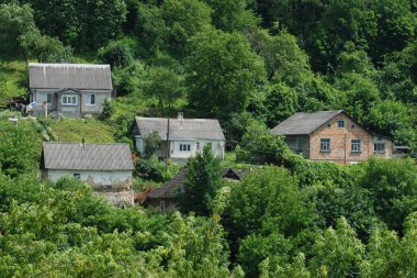 Karpat Dağlarının yumuşak yamaçları