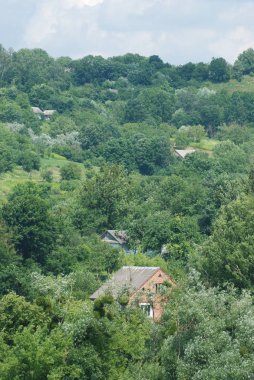 Karpat Dağlarının yumuşak yamaçları