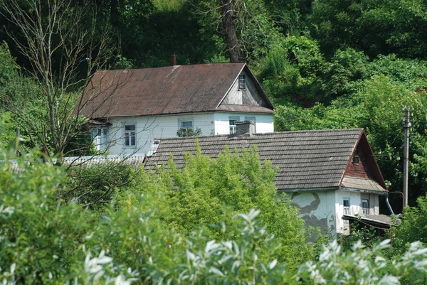 Sanfte Hänge Der Karpaten — Stockfoto