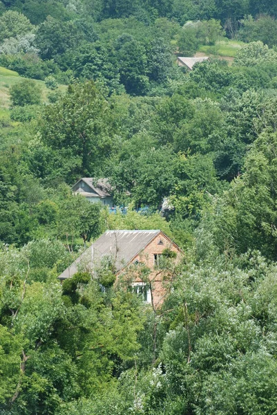 Karpaternas Milda Sluttningar — Stockfoto