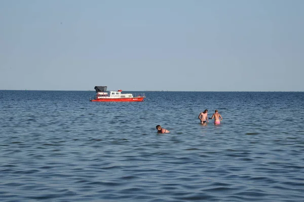 Mar Negro Égua Ruceno Latina — Fotografia de Stock