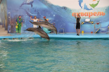 Skadovsk Dolphinarium 