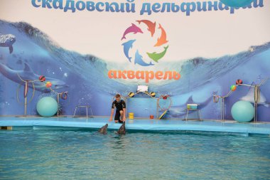 Skadovsk Dolphinarium 