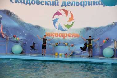 Skadovsk Dolphinarium 