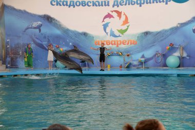 Skadovsk Dolphinarium 