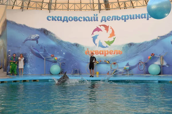 Toespraak Door Het Team Van Skadovsk Dolphinarium Aquarel Juli 2019 — Stockfoto